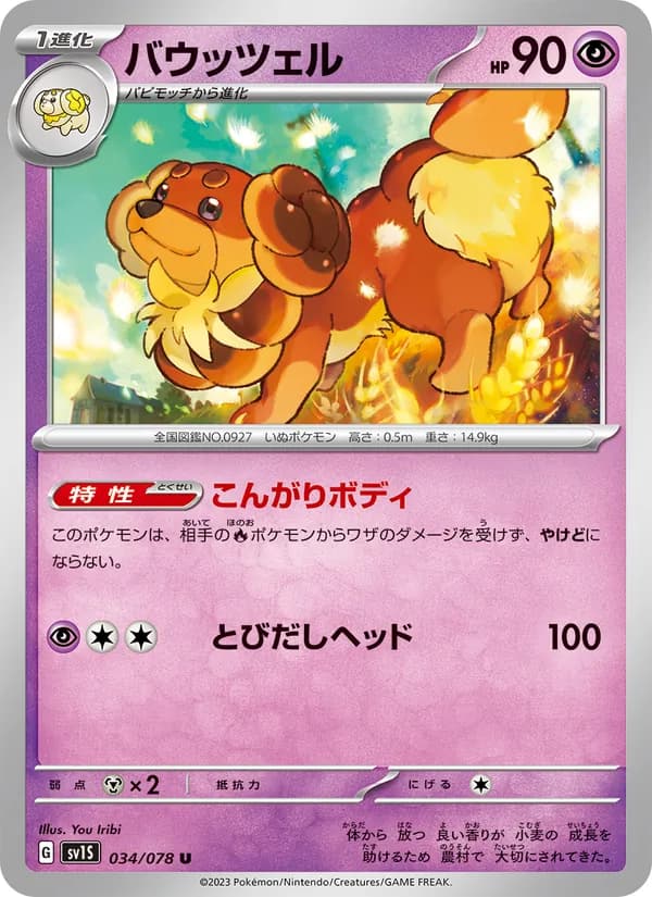バウッツェル