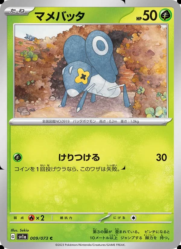 マメバッタ
