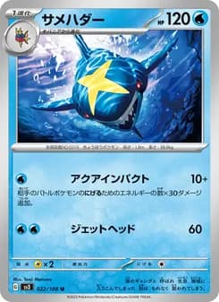 サメハダー