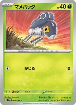 マメバッタ