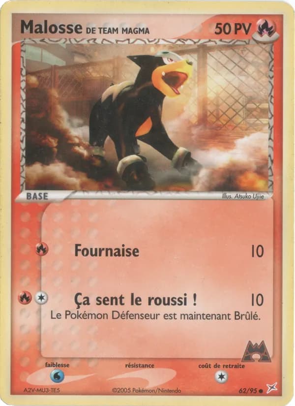 Malosse de Team Magma